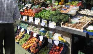 Nuevas licencias exprés en extremadura